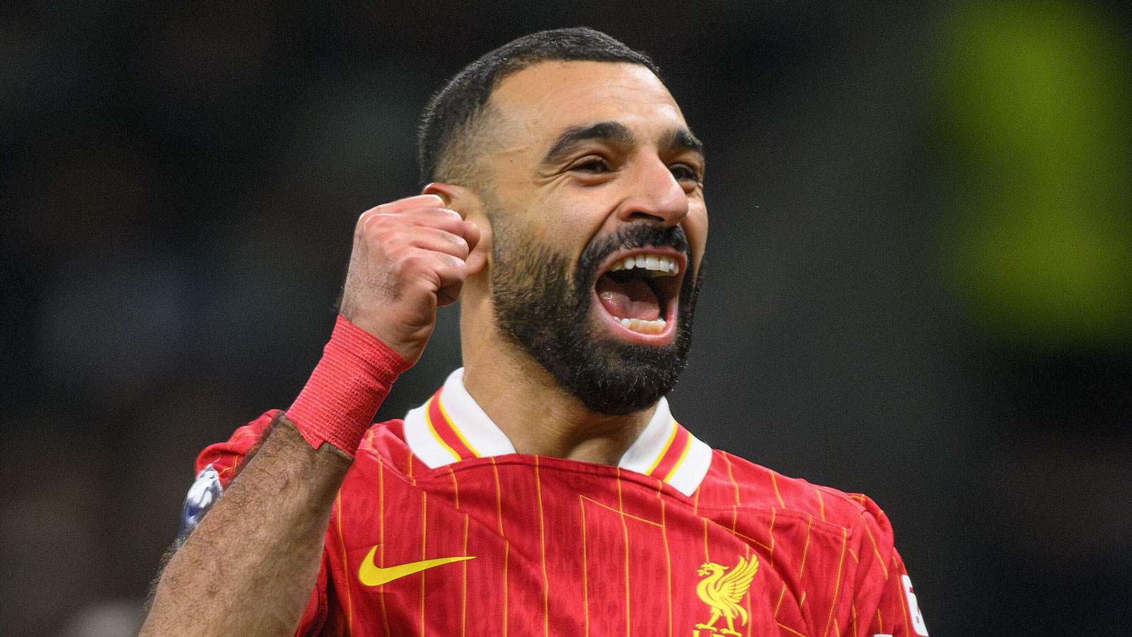 Mohamed Salah celebrated