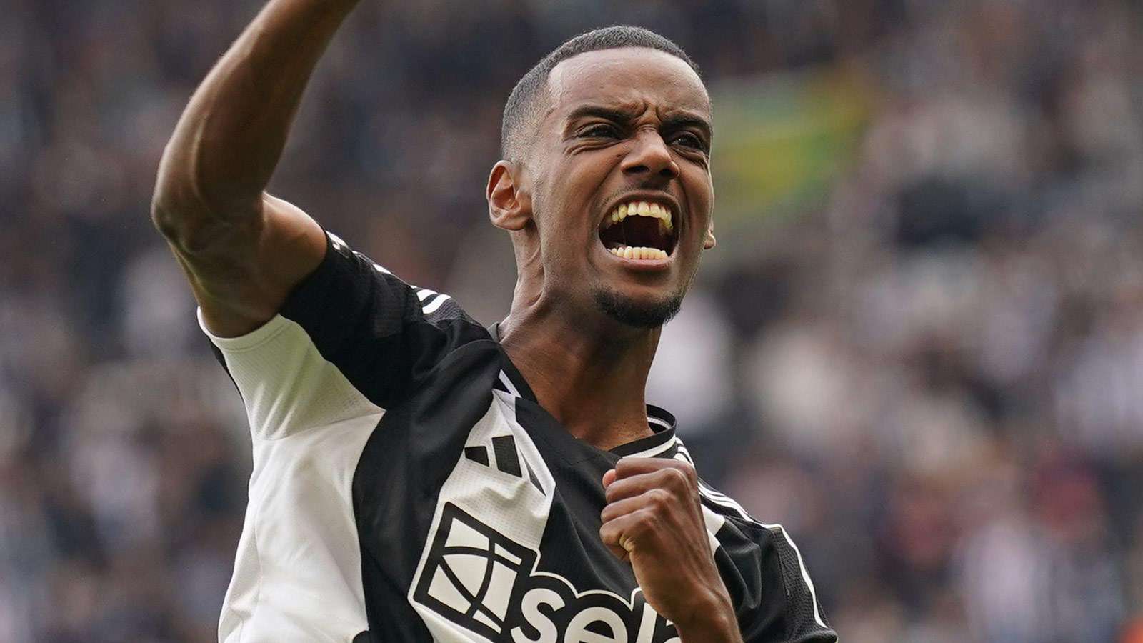 Newcastle United's Alexander Isak celebrates scoring